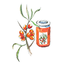 rakytník