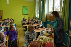 zs_ostromer03