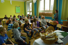 zs_ostromer04