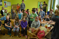 zs_ostromer06