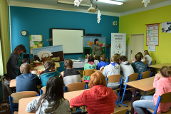 zs_ostromer14